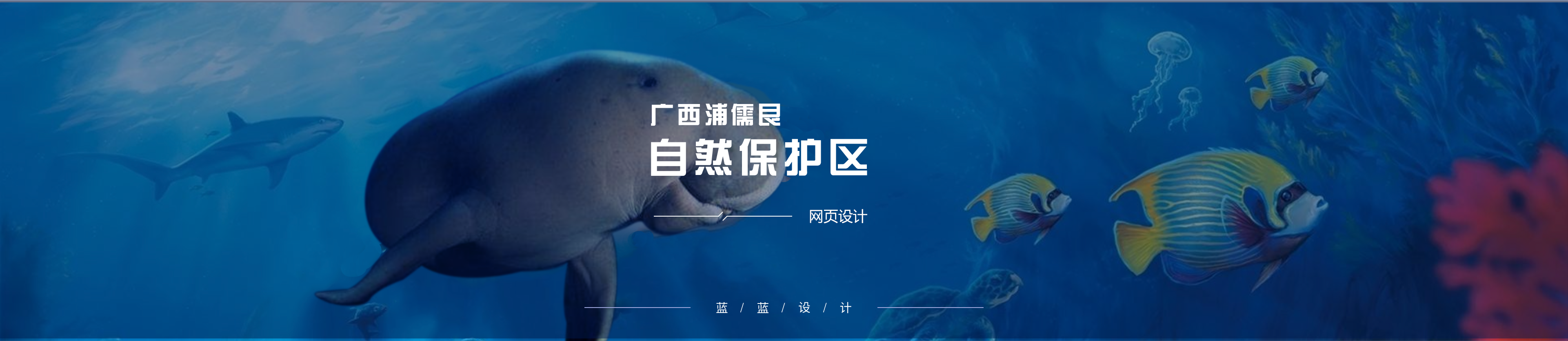 廣西浦儒艮自然保護(hù)區(qū)網(wǎng)頁設(shè)計