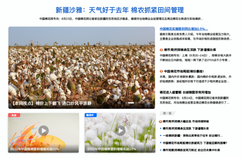中國(guó)棉花網(wǎng)設(shè)計(jì)方案
